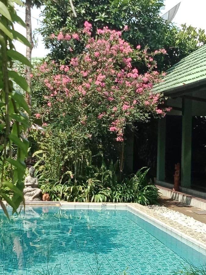 Rumah Sawah Ngabean Экстерьер фото