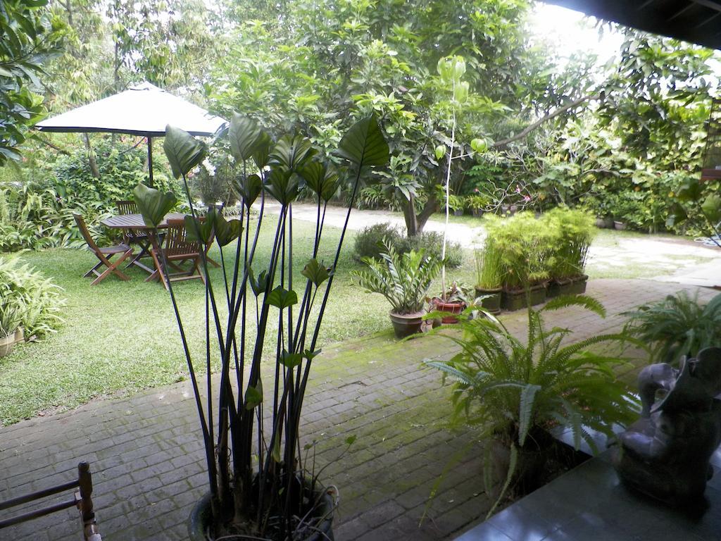 Rumah Sawah Ngabean Экстерьер фото